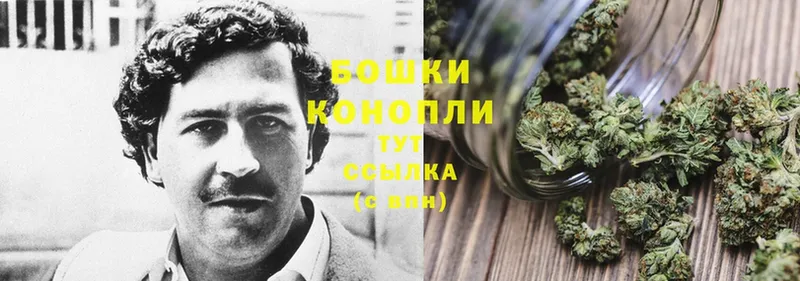 где найти   Оленегорск  Шишки марихуана OG Kush 